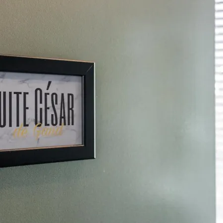 Cesar Lejlighed
